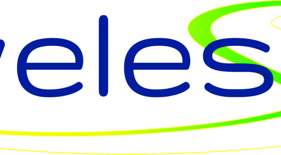 logo firmy weless